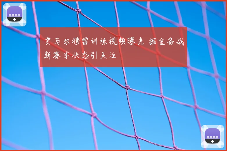 贾马尔穆雷训练视频曝光 掘金备战新赛季状态引关注