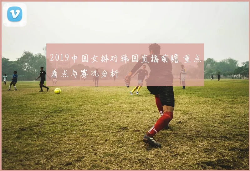 2019中国女排对韩国直播前瞻 重点看点与赛况分析