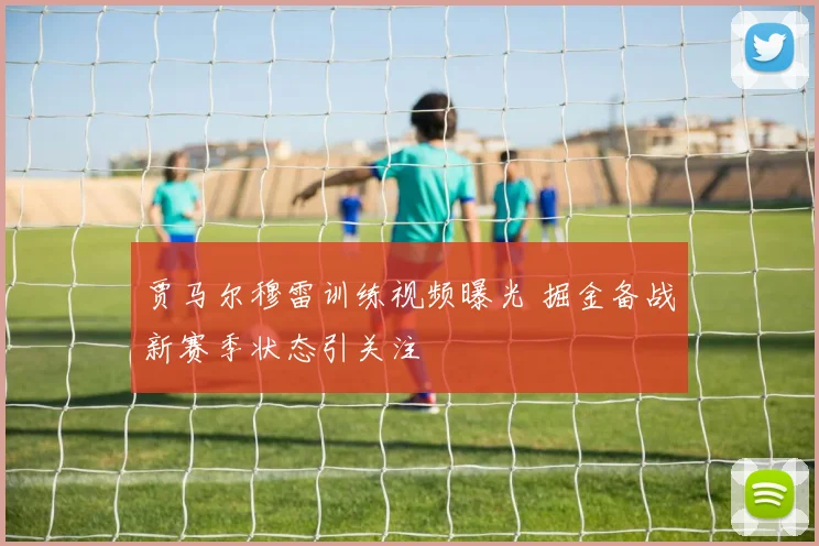 贾马尔穆雷训练视频曝光 掘金备战新赛季状态引关注