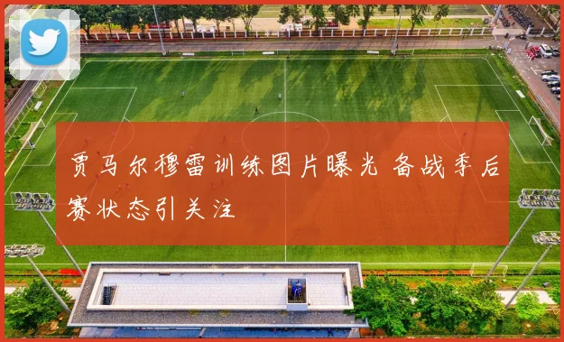 贾马尔穆雷训练图片曝光 备战季后赛状态引关注